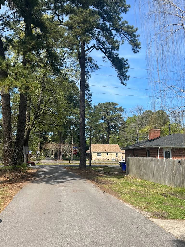 Street tree maintenance and pruning in Chesapeake