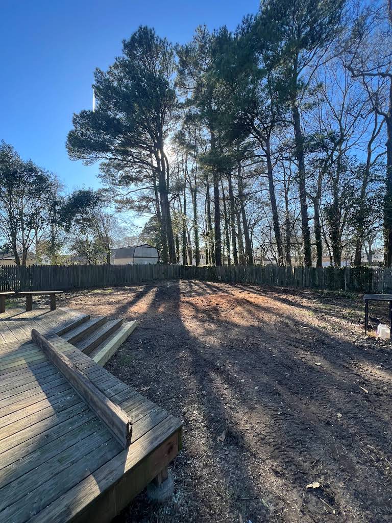 Complete tree removal and cleanup in Newport News