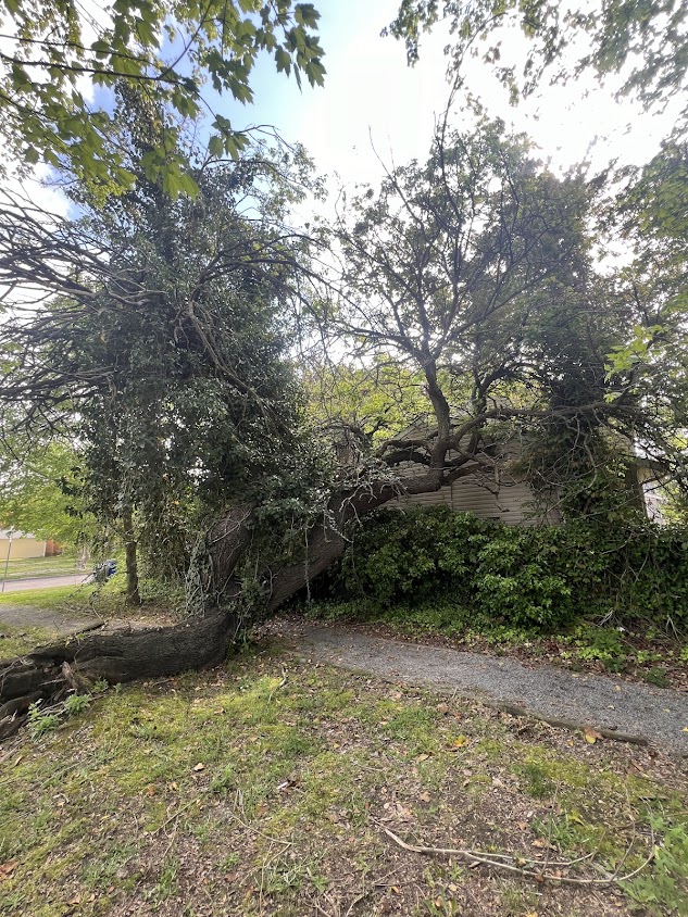 Storm damage tree fallen across driveway requiring emergency tree removal services