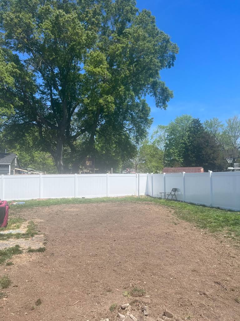 Cleared residential backyard showing completed tree removal with white fence